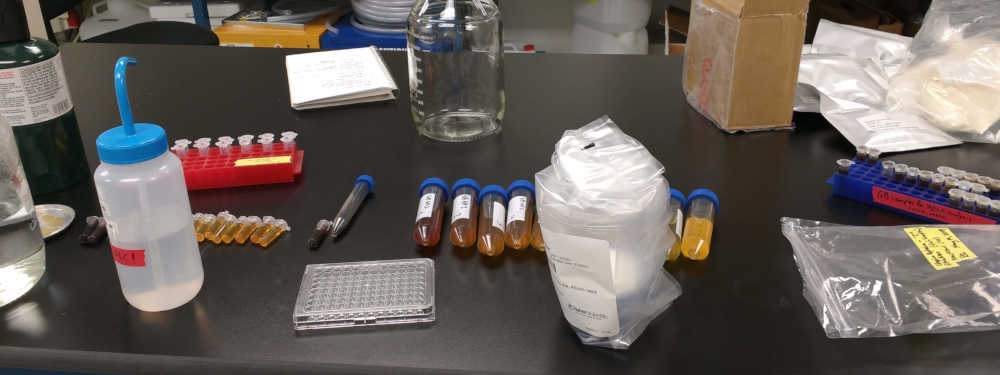Typical biotechnology lab