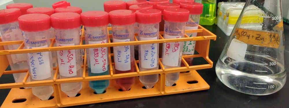 Typical biotechnology lab