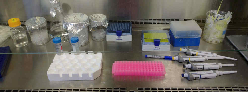 Typical biotechnology lab
