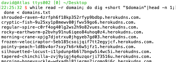 Dig results for domain list, all pointing to Heroku