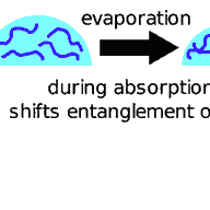 Visual abstract: polymer evaporation causes a shift in entanglement concentration throughout absorption into a powder bed