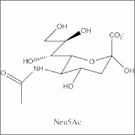 N-acetylneuraminic acid structure