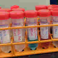 Typical sample tubes in a biotech laboratory